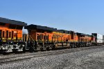 BNSF 4281 Roster shot.